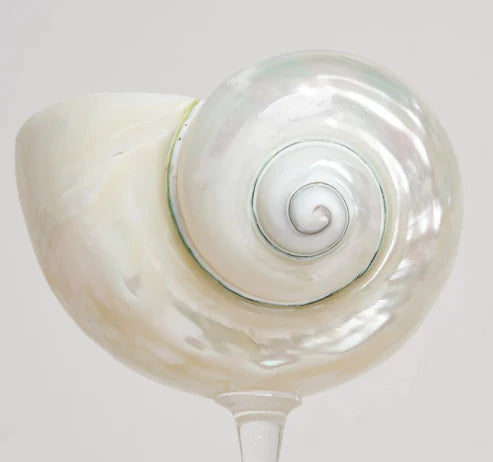 Little Mermaid Champagne Glass