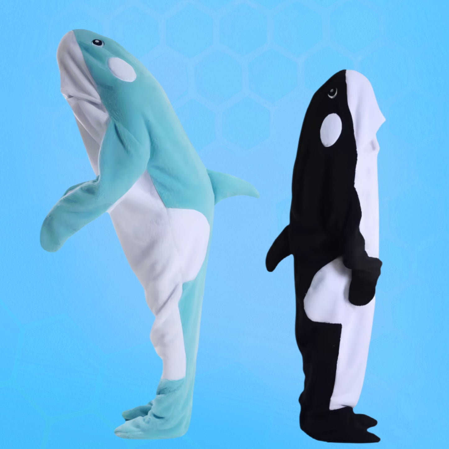 Killer Whale Blue