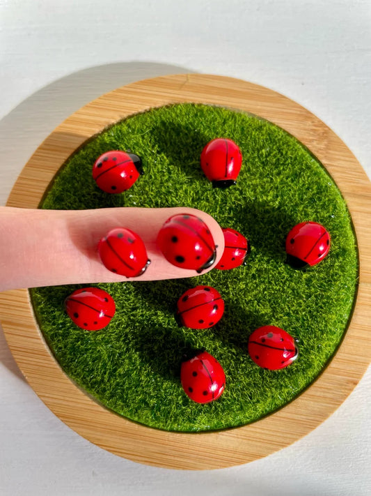 Ladybug (6pcs)