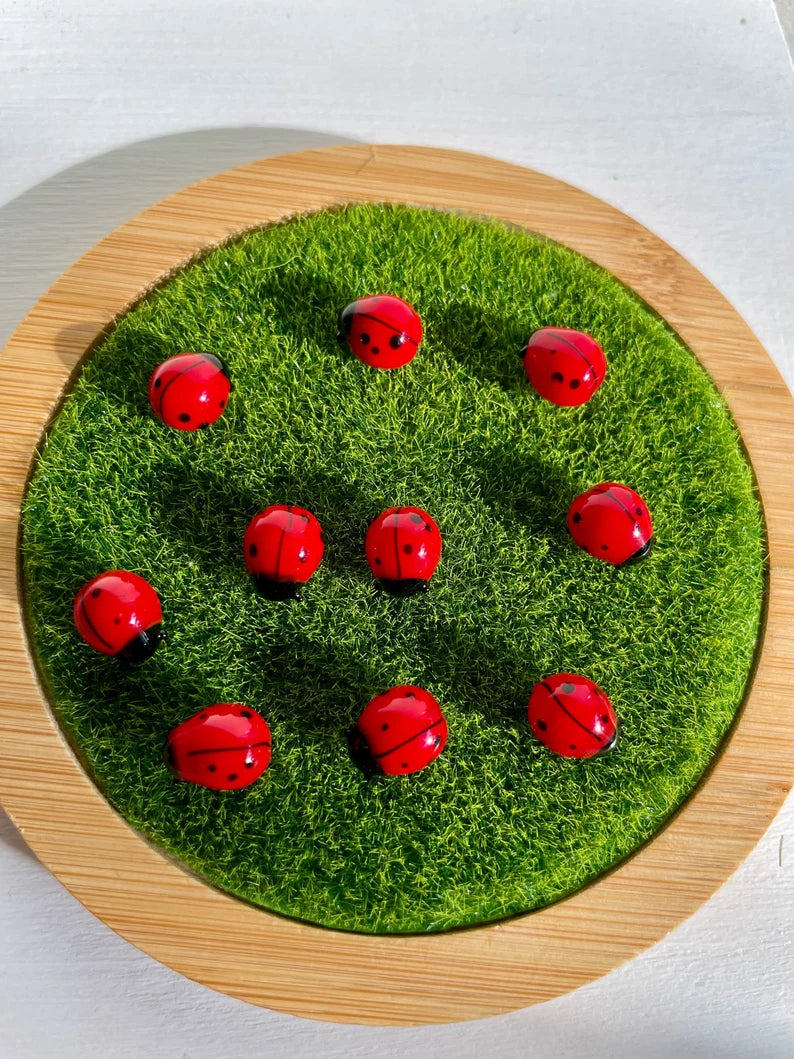 Ladybug (6pcs)