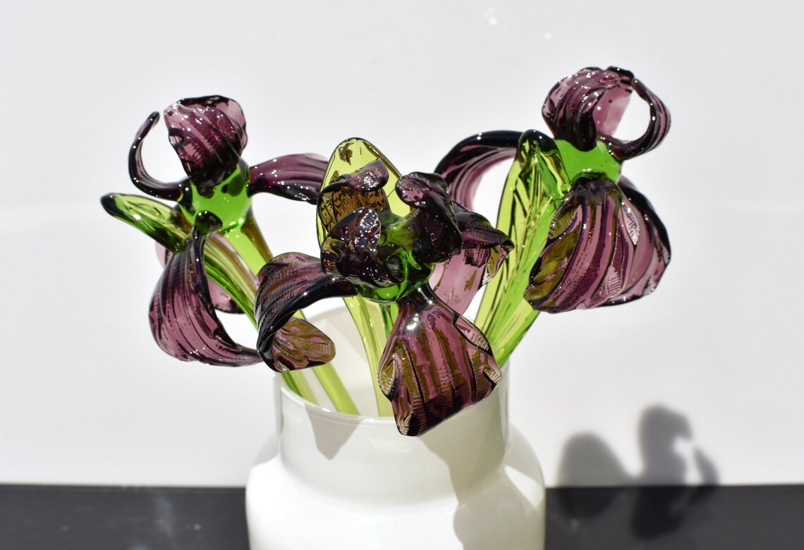 Purple Glass Iris flower