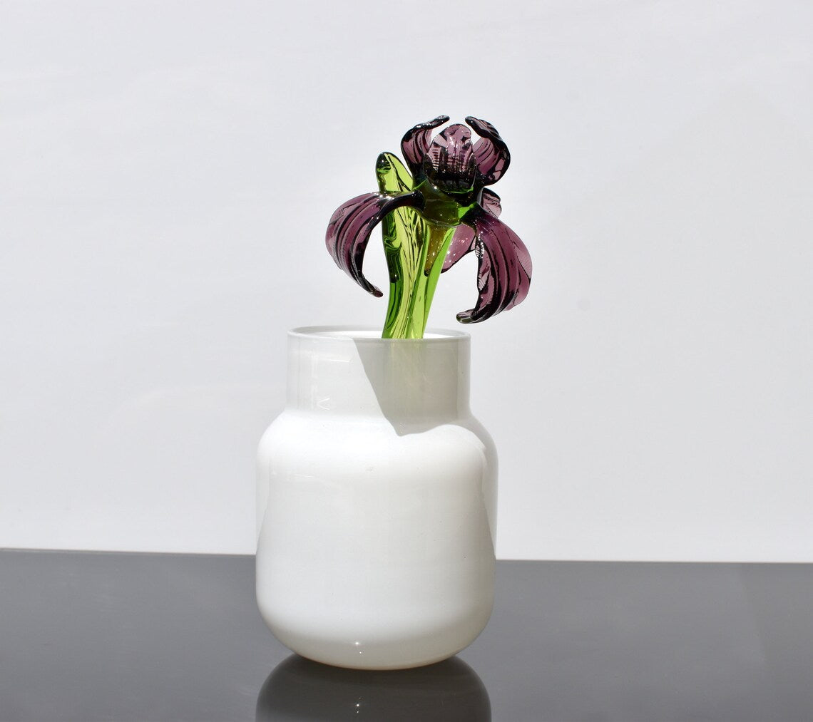 Purple Glass Iris flower