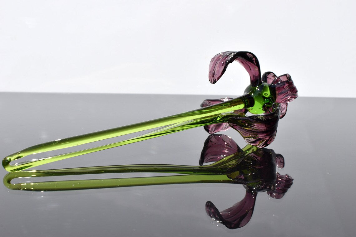 Purple Glass Iris flower