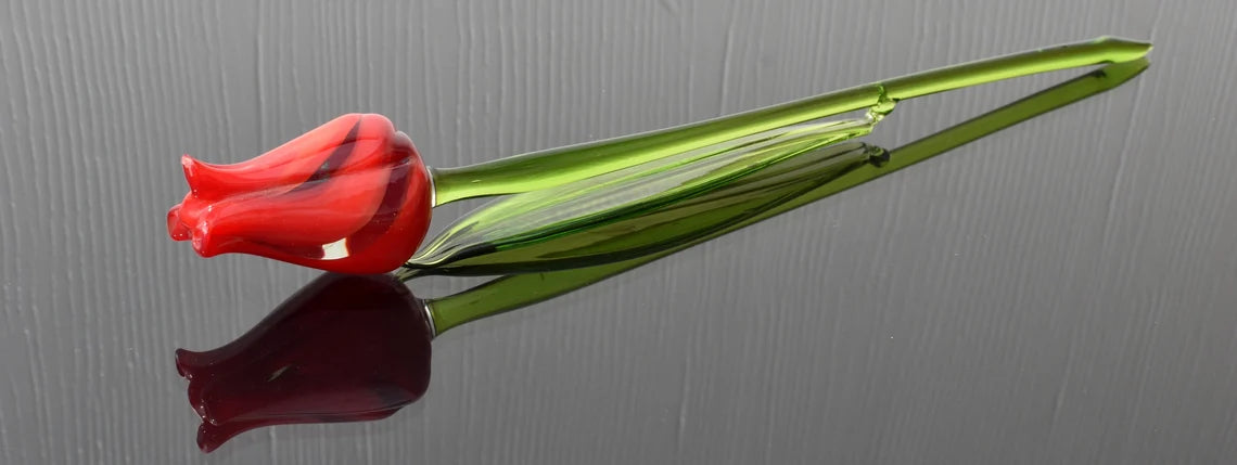 Red-clear glass tulip